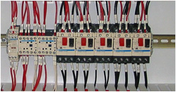 Small picture of snapshot site